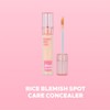 CHOSUNGAH BEAUTY Chocho Lab2.0 Concealer 6g, Color:03. Tea Tree Pore