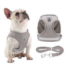 Dog Harness for Small Breed,Puppy Vest Harness Pet Chest Strap, Small Dog Harness and Leash Set, No Choke Breathable Step-in Air Dog Harness for Small