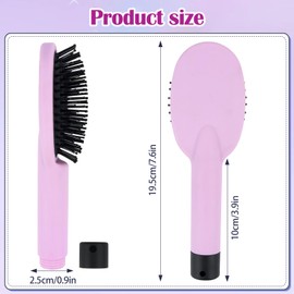 Travel Hair Brush, Labs Hair Brush with Secret Compartment, Diversion Brush for Hiding Cash, Small Jewellery, Portable Storage Hair Brush for Travel or Home