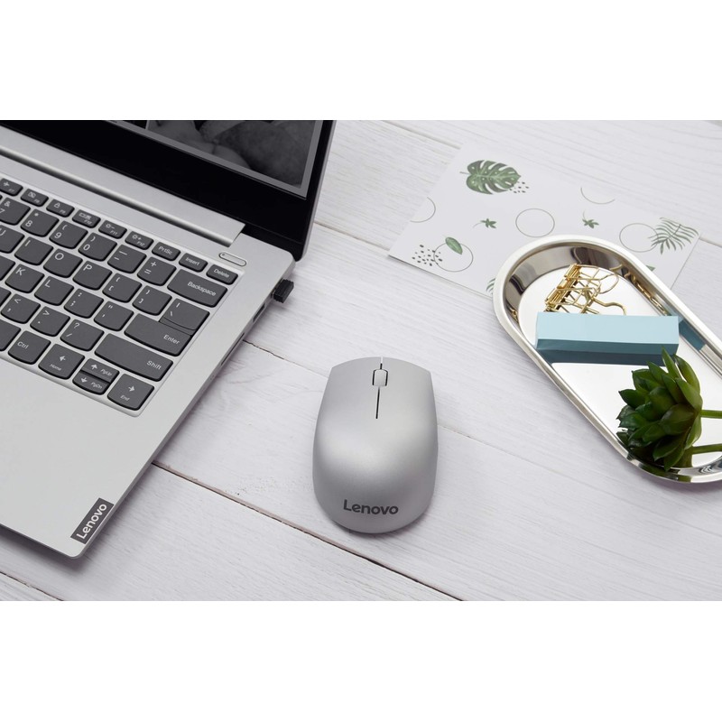 Lenovo 520 Wireless Mouse (Platinum)