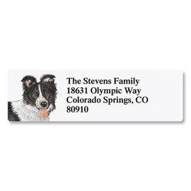 Border Collie Pet Portrait Small Return Address Label - Set of 240 2" x 5/8" Self-Adhesive, Flat-Sheet labels