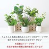 山久 造花 インテリア CT触媒加工のグリーンミニポット 5個おまかせセット 姫グリーン 観葉植物 0910-9010a 人工観葉植物 フェイクグリーン