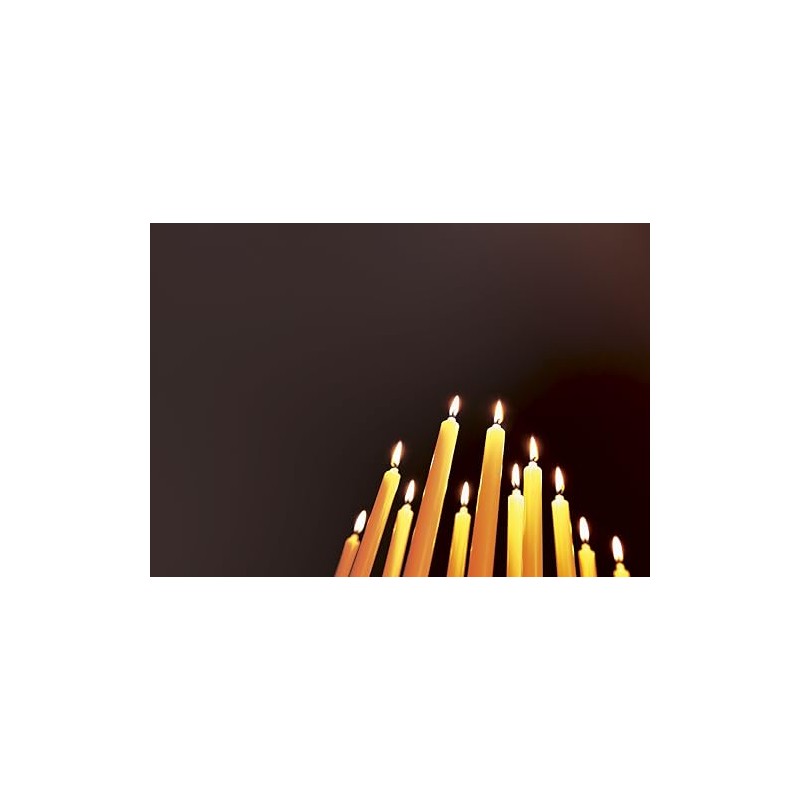 マルエス 明王ローソク Kダルマ 225g