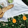 4pcs Windproof Tablecloth Weights Decorative Clips for Picnic Tablecloths Outdoor