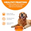 Outward Hound Divertido comedero para Perros con alimentación Lenta para