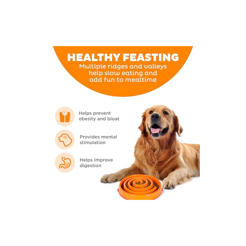 Outward Hound Divertido comedero para Perros con alimentación Lenta para