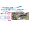 Aquaripure 400 Water Purification Kit, 400 Liters of Water, Easily