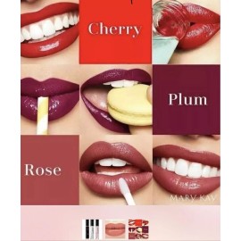 Mary Kay ~ Ultra Stay Lip Lacquer Kit ~ Variety ~ New in Box-  Plum