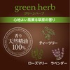 Washbon Prime Foam, Green Herbs, 16.9 fl oz (500 ml)