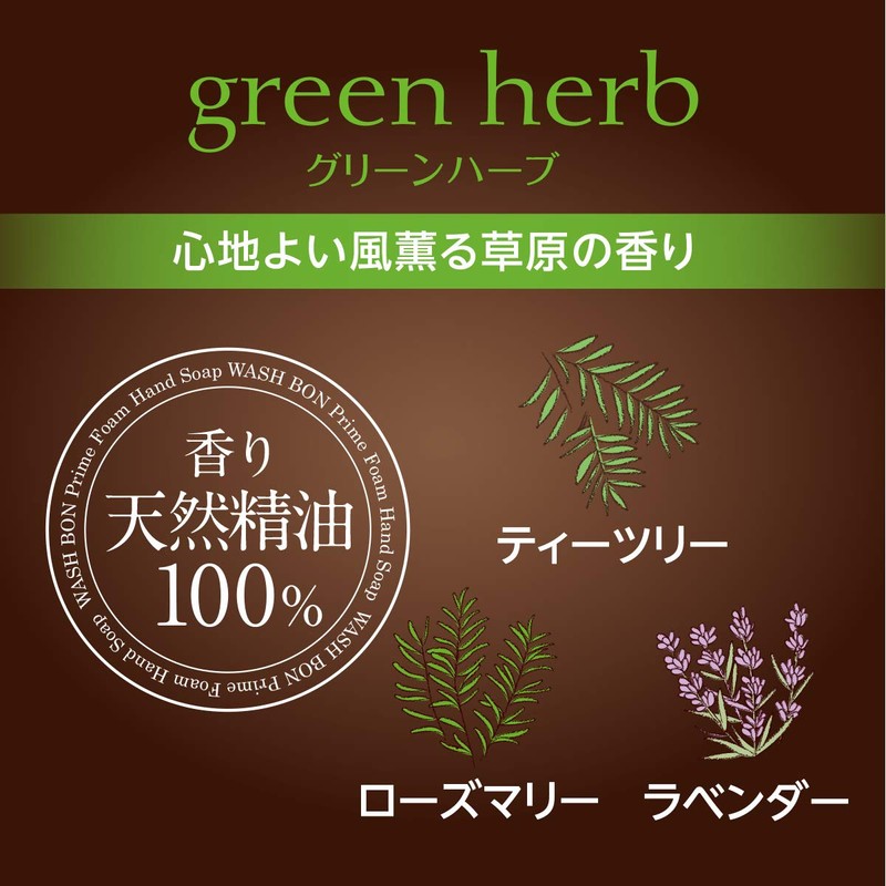 Washbon Prime Foam, Green Herbs, 16.9 fl oz (500 ml)