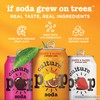 Culture Pop Soda, Lemon Lime, Probiotic Low Sugar Soda, Sparkling