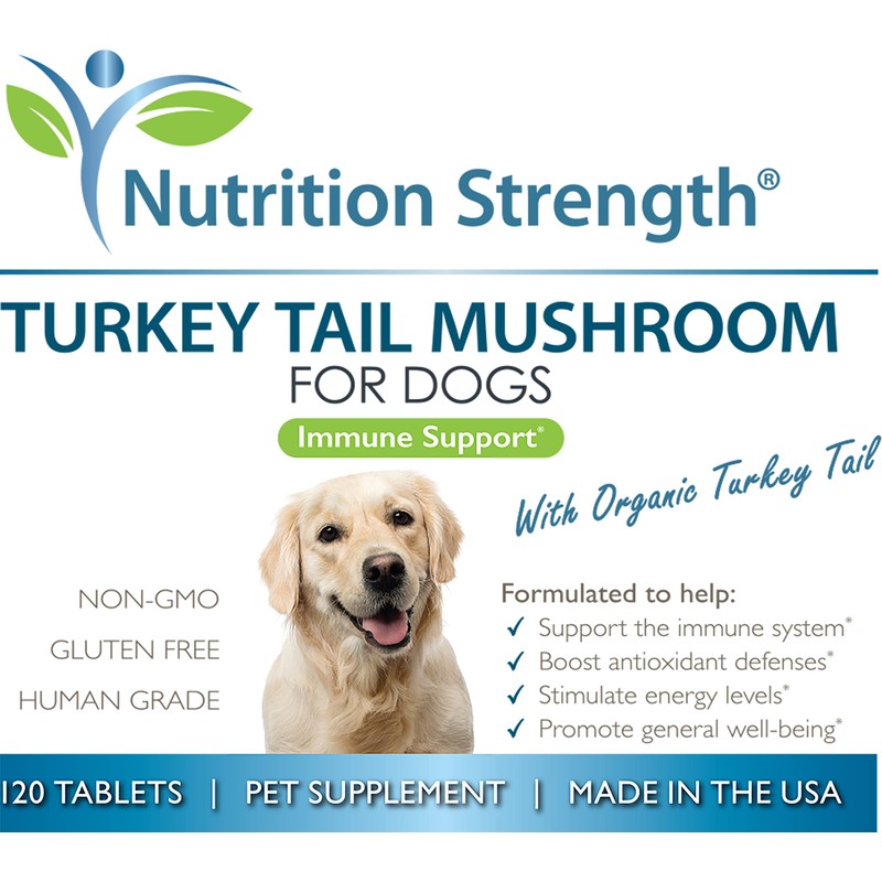 Turkey Tail Mushroom for Dogs to Support a Strong Immune