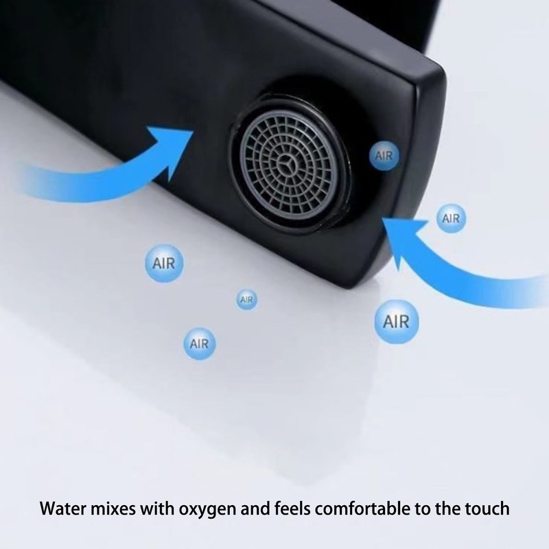 Basin Faucet Stainless Steel Surface Black Baking Paint Bathroom Sink