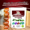 Stevia Boost Morning Green tea Oolong tea Mulberry leaf Pandan