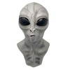 Rubber Johnnies Grey Alien MASK, Latex, Adult One Size, Fancy
