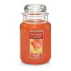 Yankee Candle Autumn Leaves Scented, Classic 22oz Large Jar Single Wick Candle, Over 110 Hours of Burn Time