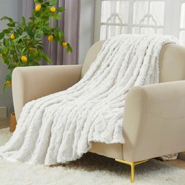 Aganear Fleece Blanket King Size - Lightweight Portable Plush Fuzzy Cozy Soft Blanket for Couch, Sofa, Bed, Office, Breathable and Skin-Friendly Blanket for All Season Accessories(108"x90", White)