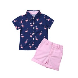 Baby Kids Boy Gentleman Suits, Flamingo Printed Button Down Shirt +Pink Shorts Set 2Pcs Outfits Set (pink, 5-6T)