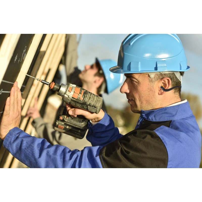 Quality Plugs by Rips 2 Pairs Banded Ear Plugs +