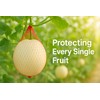 Melon Hammock Watermelon Nets, 100 Pack Heavy Duty Reusable Melon