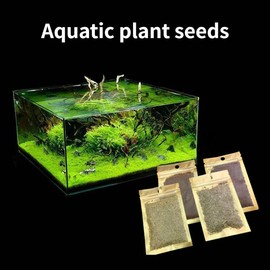 Fish tank Aquarium foreground Quick seed mini against leaf grass，aquatic plant，aquarium plant - Color: Mini cow hair