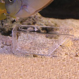 Crab Fish Trap, Mini Freshwater Catcher Box Multi Functional Aquarium Crawfish Tank Fishing Bait Cage Transparent Acrylic Holder for Catching Lobster Minnows Shrimp Clownfish Home Garden Office