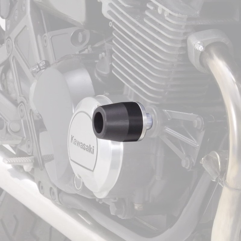 Daytona (DAYTONA) Private cars engine protector [ZEPHYR400 / ƒÔ (all