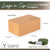 Cork Yoga Blocks Set, 2 Pack with Stretch Strap -