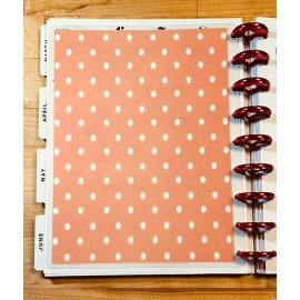 Handmade Mason Jar Dashboard Insert for use with Classic Happy Planner-