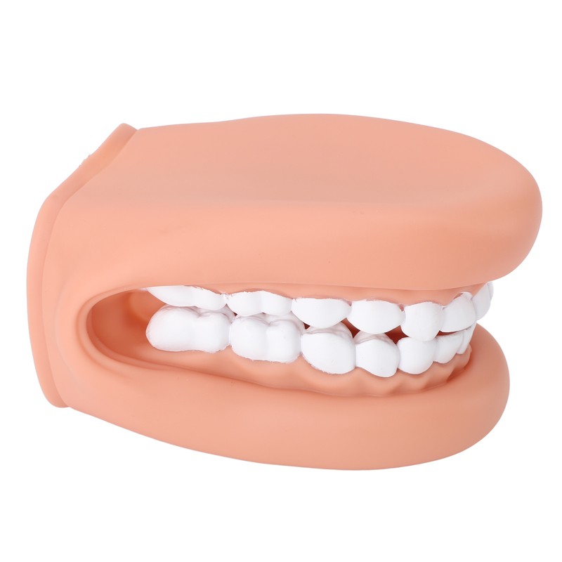28 Teeth Mouth Hand Puppet with Tongue for Kids Speech