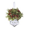 Ganz Kissing Krystal Acrylic Christmas Mistletoe Ornament with Hanger