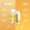 Focus Nootropicos Melena De Leon Bacopin L Glutamina Moods