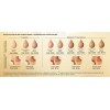 Corrector Facial Duo Correctefecto Tratante De Ojos Lbel