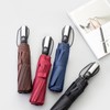 AIMALL Automatic Umbrella, 10-Rib Windproof Folding Compact Umbrella with Auto