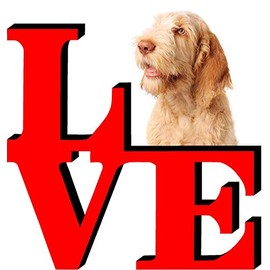 Spinone Italiano Dog Love Park Cute Dog Fridge Refrigerator Car Magnet