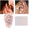 17cm Ear Point Probe 600pcs Auricular Patches Silicone Ear Model