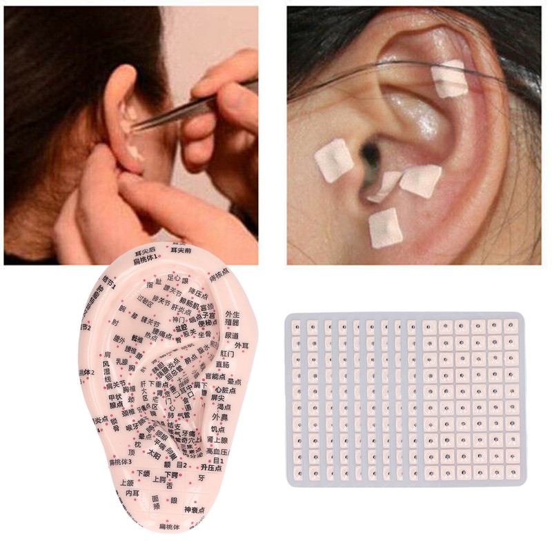 17cm Ear Point Probe 600pcs Auricular Patches Silicone Ear Model