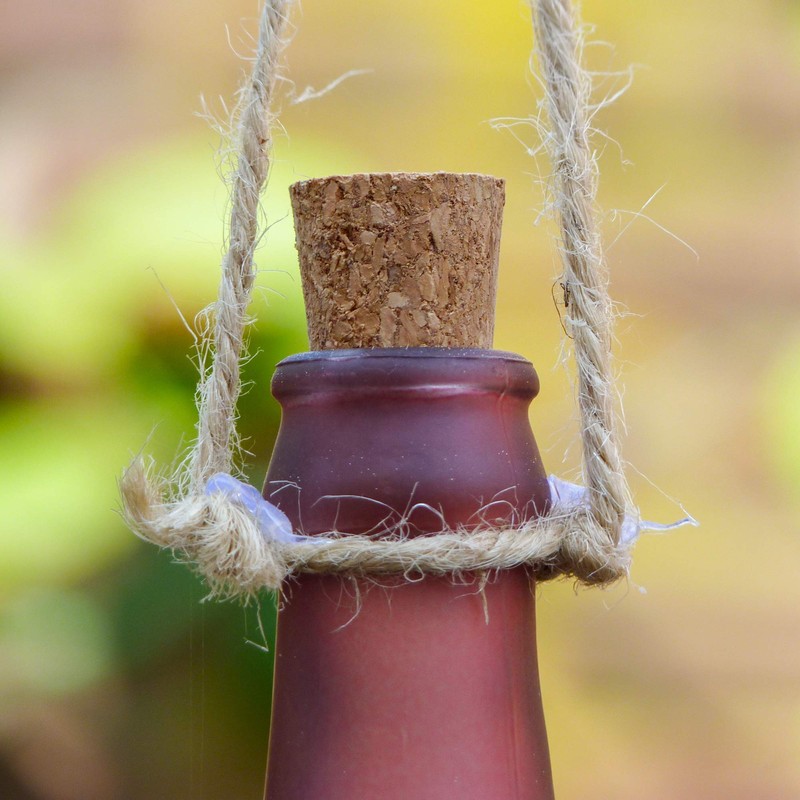 Browin 652302 Cork for Wine Bottles with an Inner Diameter