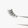 Lavi Lashes 6 Lash Pairs Cat Eye Strip Natural False