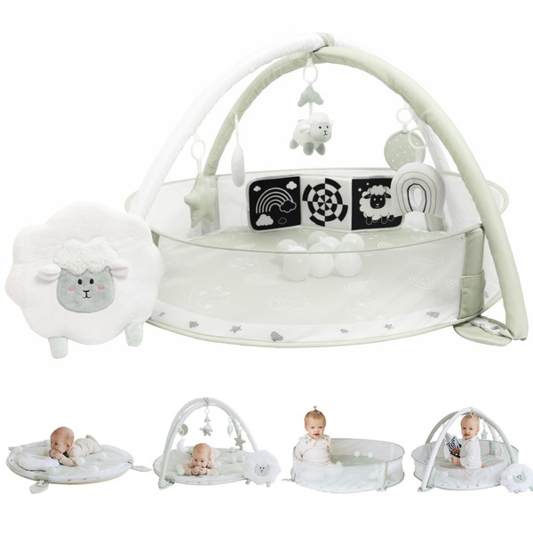 Aila+Aiden 6-in-1 XL Play Mat & Play Gym, Baby Gym,