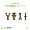 Benebone Medium 4-Pack Dog Toys for Aggressive Chewers – Durable