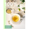 TeeLux Fennel Tea Bags, Pure & Natural Fennel Seeds Herbal