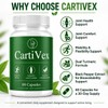 Support Supplement, Comfort, Mobility & Flexibility, Turmeric Root Extract 4:1,