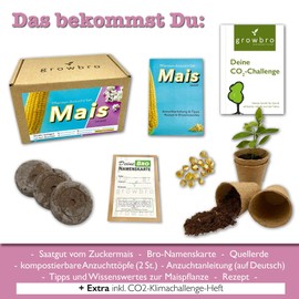 growbro Corn Propagation Set, Garden Explorer Set, Researcher Children, Discover Nature, Gift for Children, Children's Birthday Party