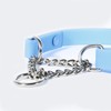 Fleuff Waterproof Martingale Dog Collar (Sky Blue, Medium)