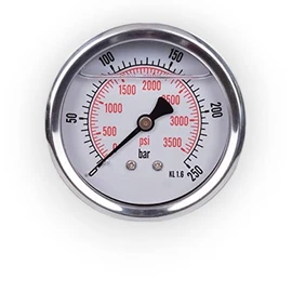 Manometer Glycerine Axial Connection Stainless Steel IP65 63 mm with Back Connection 1/4 Glycerine (0-250 bar)