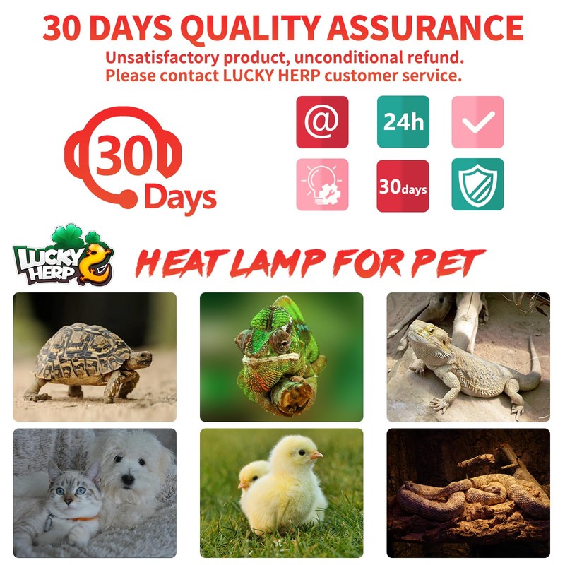 LUCKY HERP Reptile Heat Lamp - 100W Ceramic Heat Emitter