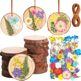 Maasechs 20 Set Fall Wood Slices Decor with Autumn Dried Flowers Leaves Unfinished for DIY Art Crafts Thanksgiving Christmas Ornaments Home Decor(Vivid)