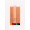 Staedtler Natural Coloured Pencils, Assorted Colours (Pack of 12)