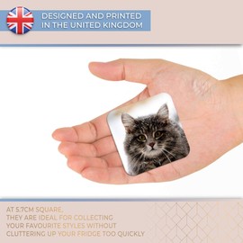 Destination Vinyl ltd Fridge Magnet - Cute Winter Cat Kitten Snow Christmas for Office, Cabinet and Whiteboard, Magnetic Stickers, 44818